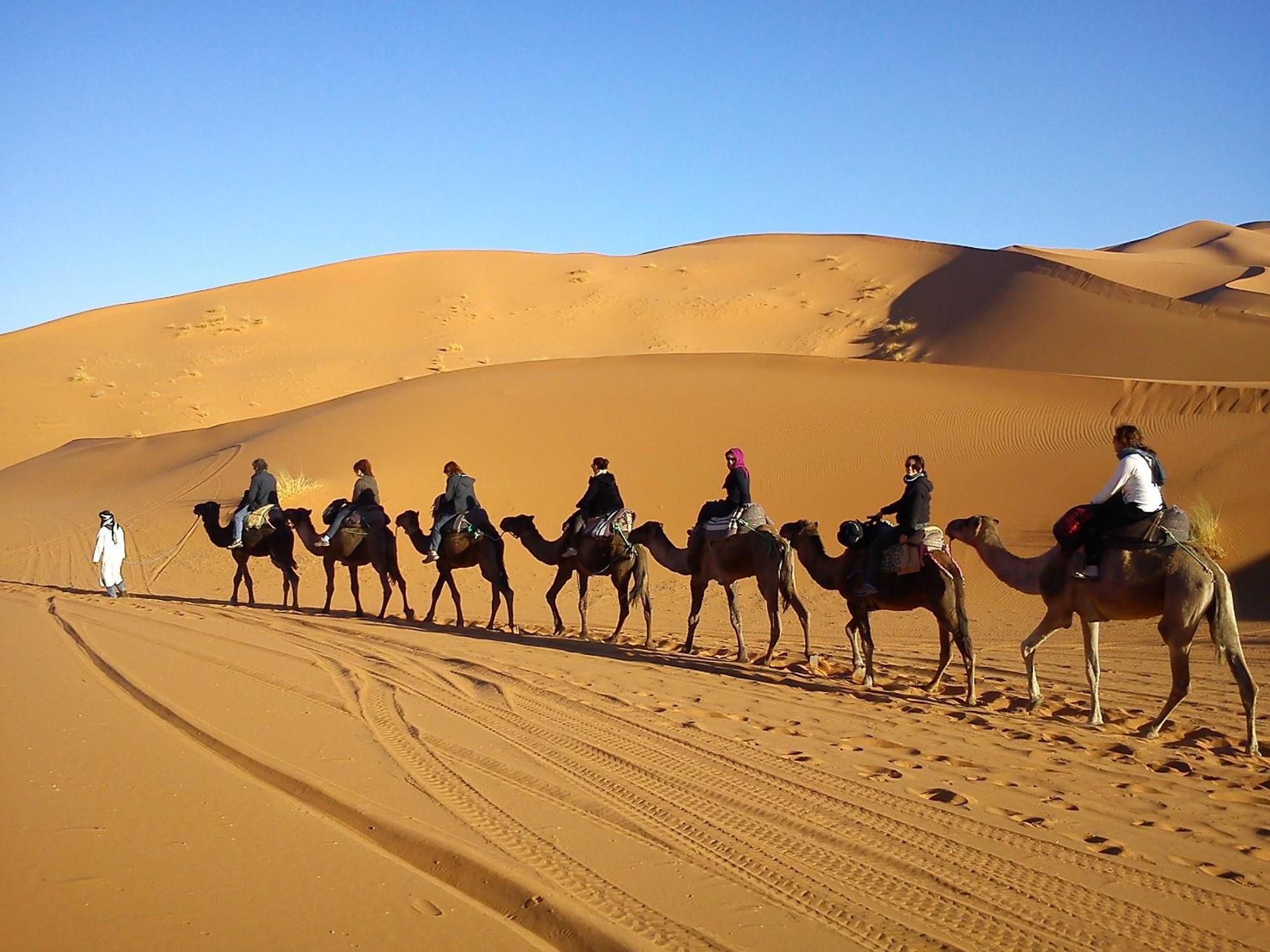 Riad Dar Ouzine 梅尔祖卡 外观 照片